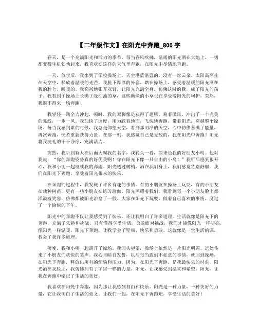 【二年级作文】在阳光中奔跑_800字