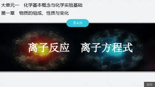 第4讲离子反应离子方程式-2025年高考化学总复习(人教版)配套课件