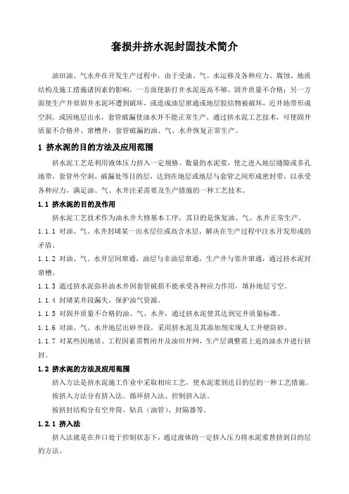 石油工程技术   套损井挤水泥封固技术简介