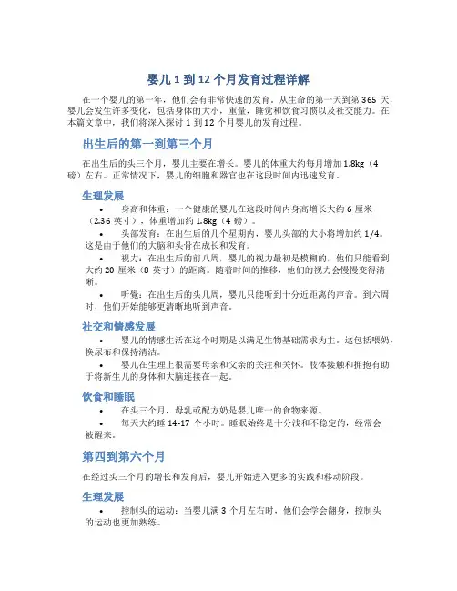婴儿1到12个月发育过程详解