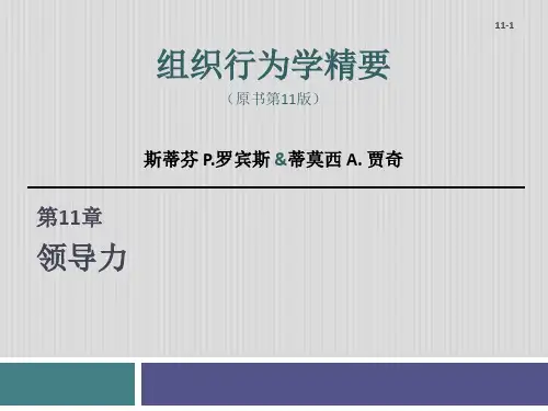 组织行为学——领导力