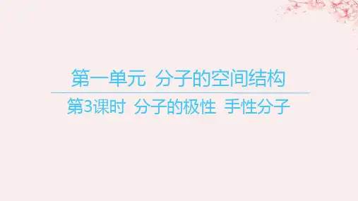 江苏专用2023_2024学年新教材高中化学专题4分子空间结构与物质性质第一单元分子的空间结构第3课