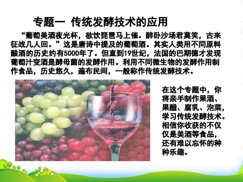 人教版高中生物 选修1专题1课题1果酒和果醋的制作 课件 (共18张PPT)