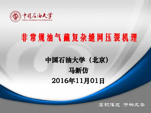 非常规油气藏复杂缝网压裂机理