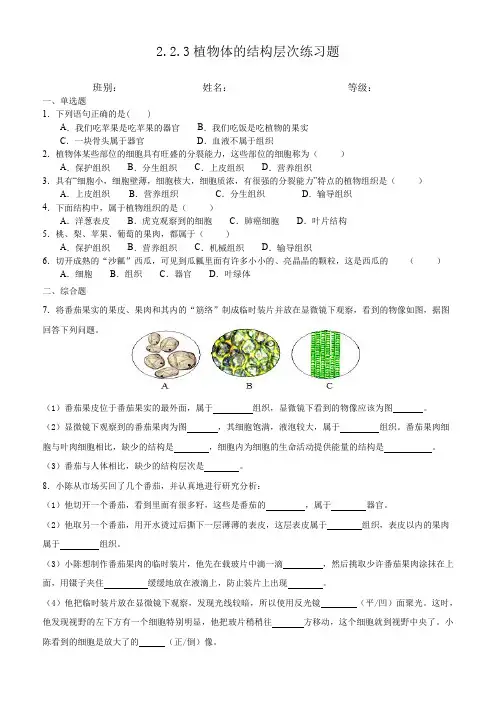 2023植物体的结构层次练习题(有答案)