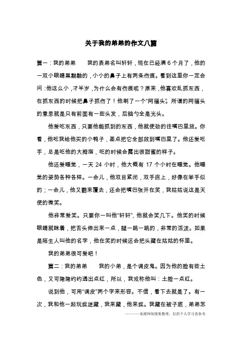 关于我的弟弟的作文八篇