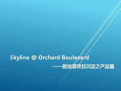 二发中心新加坡Skyline项目案例沉淀产品篇