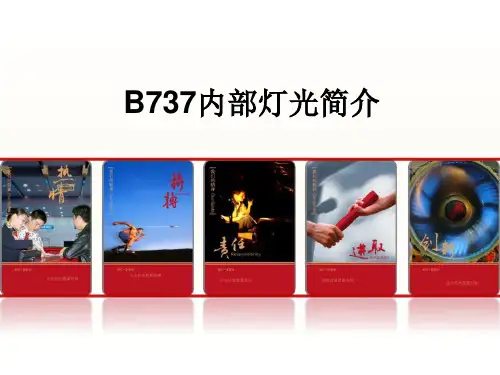 【C检模块】B737内部灯光简介