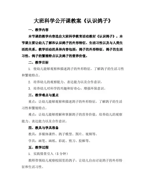 大班科学公开课教案《认识鸽子》