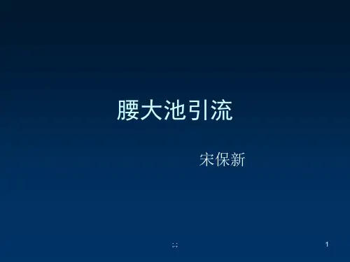 (汇总)腰大池引流.ppt