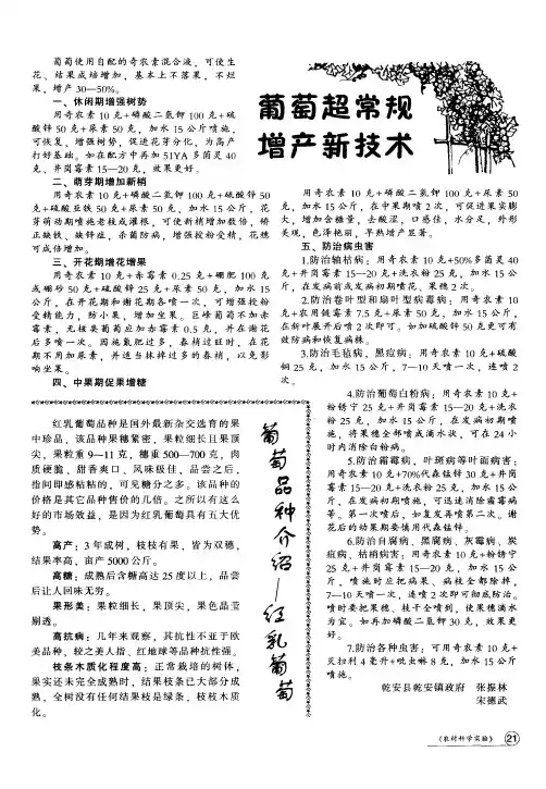 葡萄品种介绍——红乳葡萄