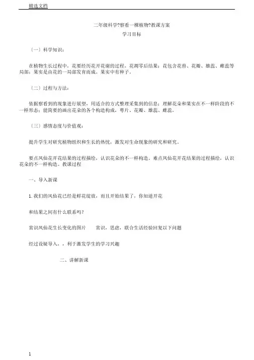 教科2017课标版科学一年级上册《植物2观察一棵植物》课教学设计17