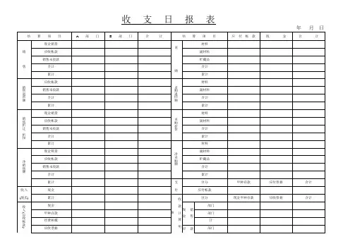 财务收支日报表