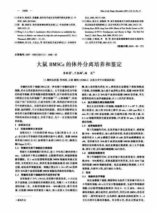 大鼠BMSCs的体外分离培养和鉴定