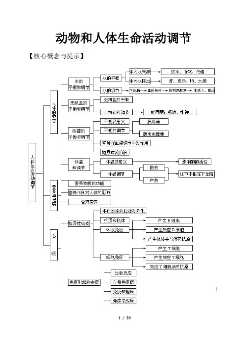动物和人体生命活动调节