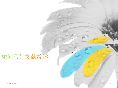 如何做文献综述PPT课件