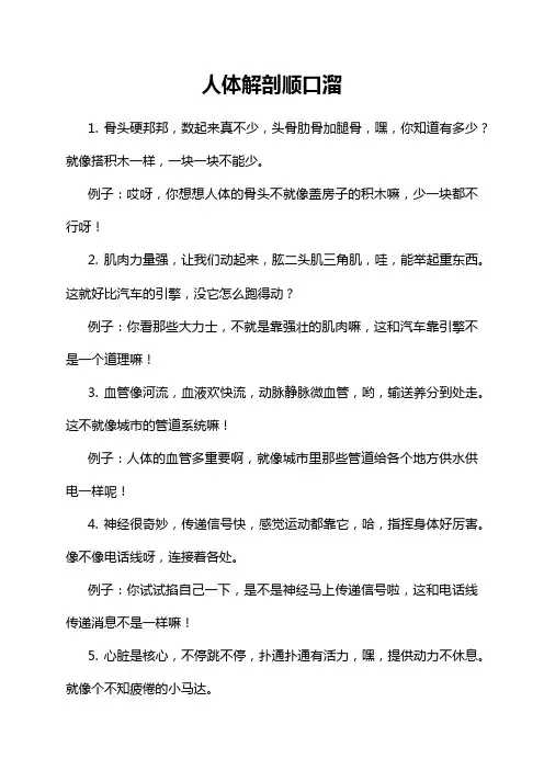 人体解剖顺口溜