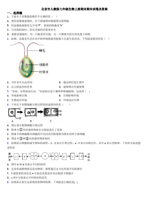 北京市人教版七年级生物上册期末期末试卷及答案