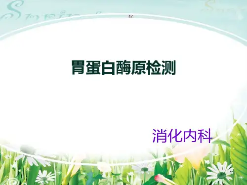 胃蛋白酶PPT课件
