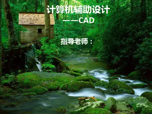 CAD室内平面设计作业PPT课件