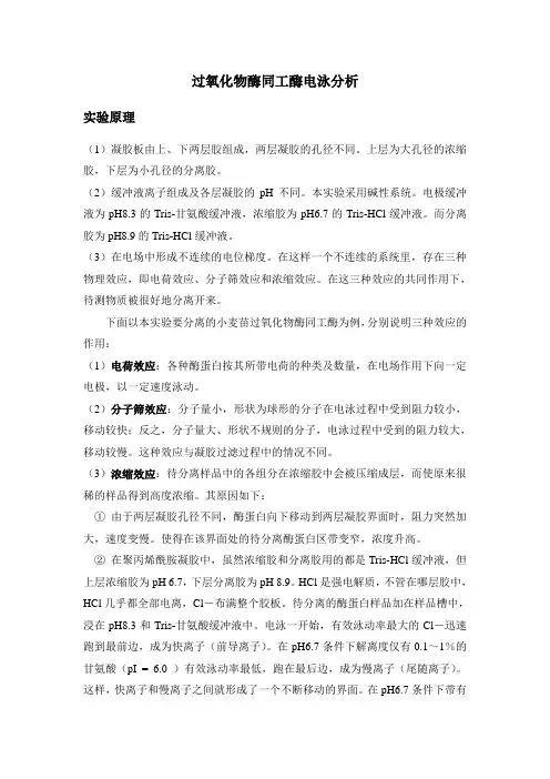 过氧化物酶同工酶电泳分析(经典有用)