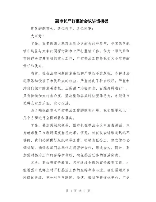 副市长严打整治会议讲话模板