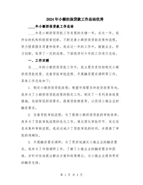 2024年小额担保贷款工作总结优秀