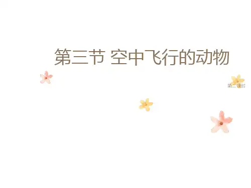 《空中飞行的动物》第二课时课件