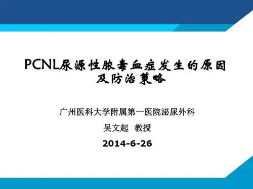 PCNL尿源性脓毒症发生的原因及防治策略-20140327