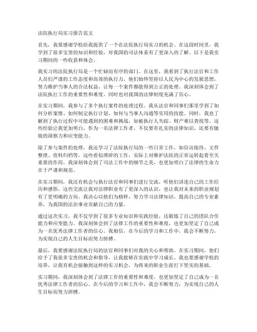 法院执行局实习报告范文