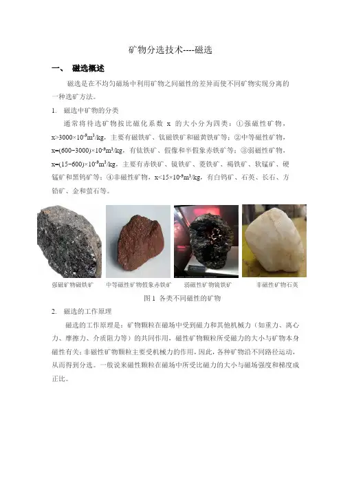 选矿技术介绍--磁选
