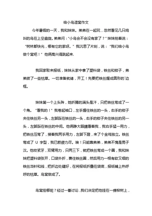 给小鸟造窝作文