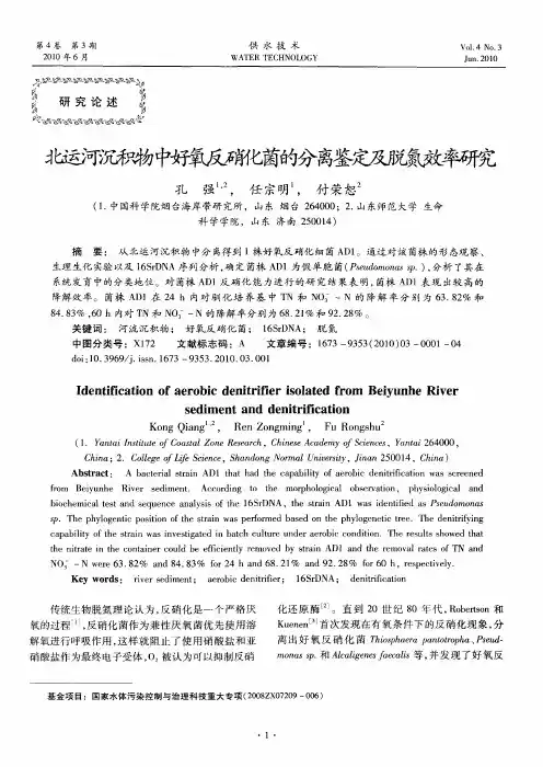 北运河沉积物中好氧反硝化菌的分离鉴定及脱氮效率研究