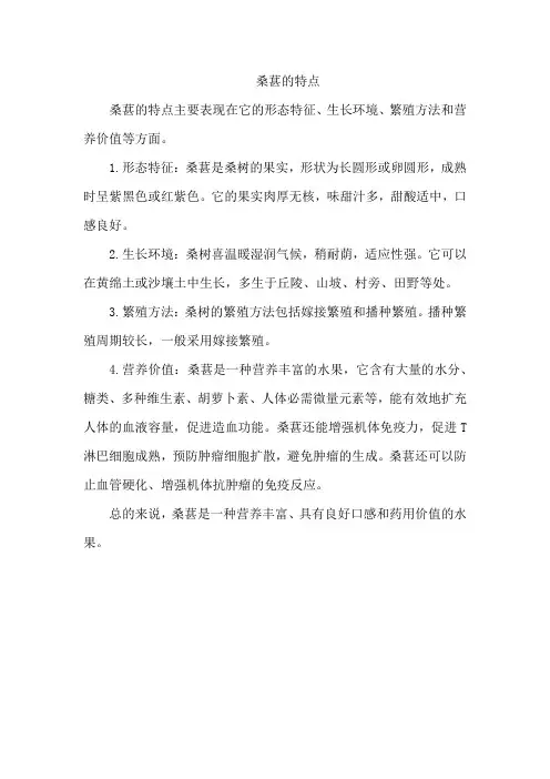 桑葚的特点
