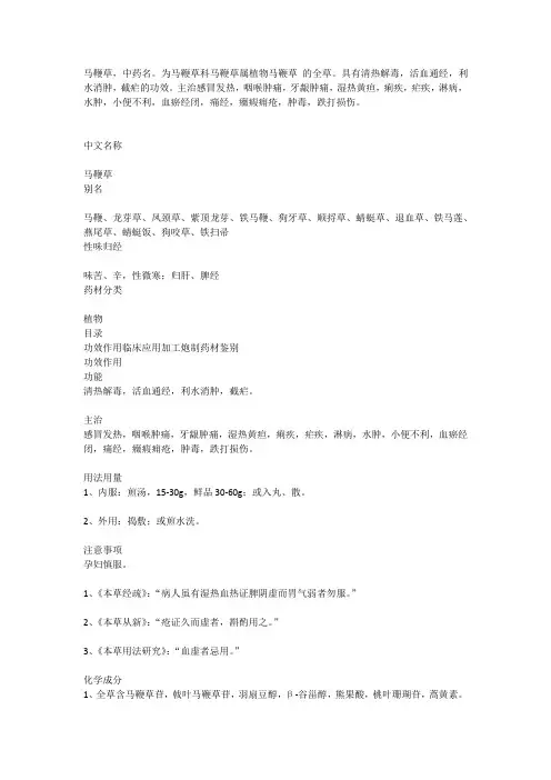 马鞭草中药材