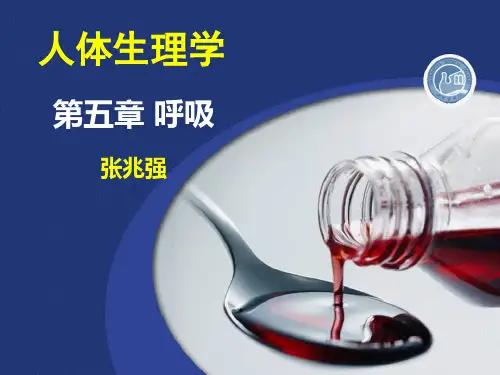 人体生理学 第五章 呼吸.ppt