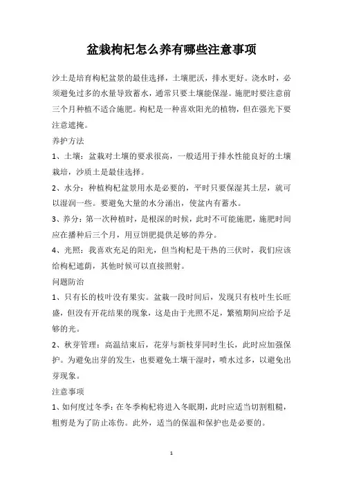 盆栽枸杞怎么养有哪些注意事项
