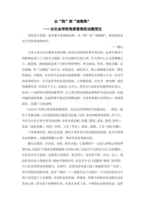 宠物犬鉴赏论文 孟欣