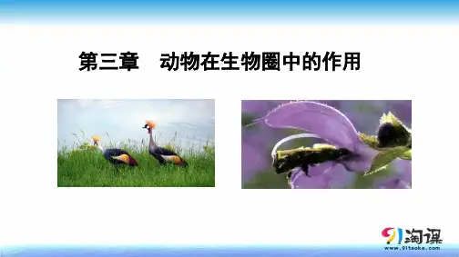 原创1：5.3动物在生物圈中的作用