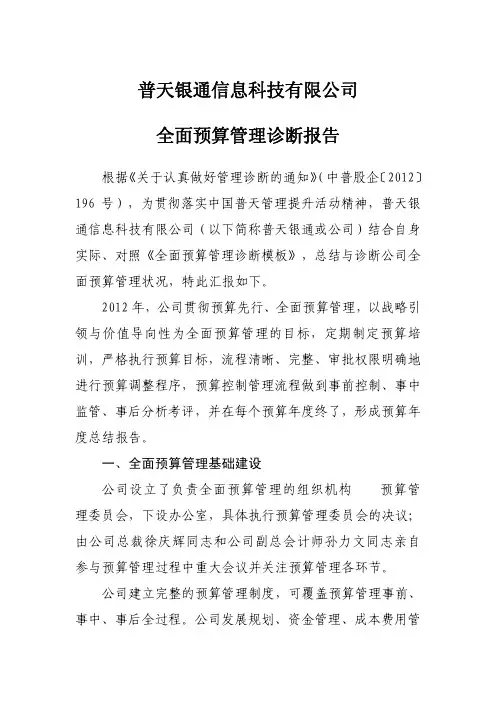 普天银通全面预算管理诊断报告及模板答卷