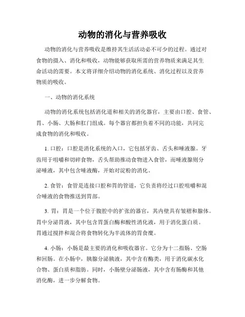 动物的消化与营养吸收