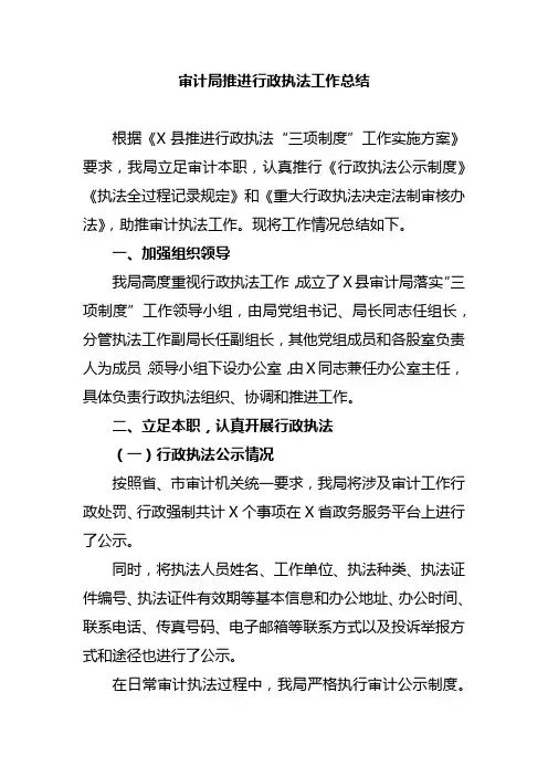 审计局推进行政执法工作总结