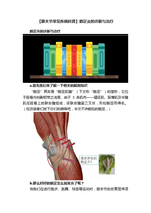 【膝关节常见疾病科普】鹅足炎的诊断与治疗