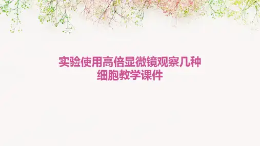 《实验：使用高倍显微镜观察几种细胞》教学课件