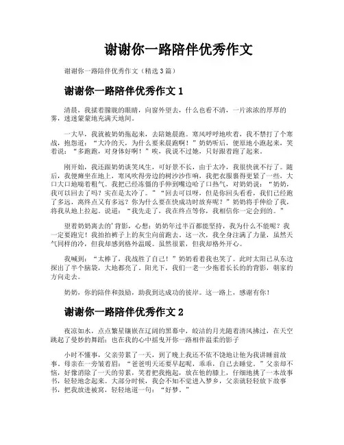 谢谢你一路陪伴优秀作文