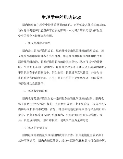 生理学中的肌肉运动