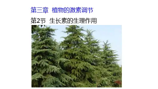 人教版生物必修三第三章第二节-生长素的生理作用