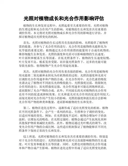 光照对植物成长和光合作用影响评估