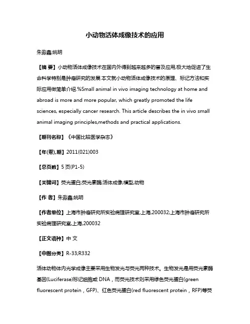 小动物活体成像技术的应用