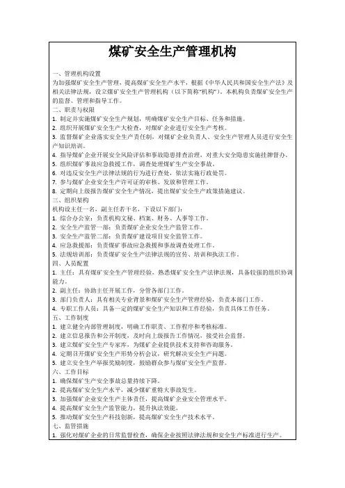 煤矿安全生产管理机构